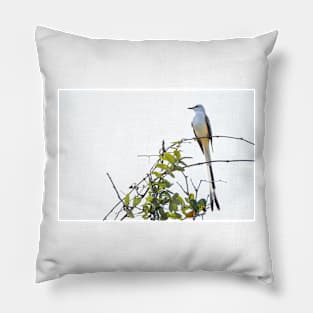 Scissor-tailed Flycatcher The Oklahoma State Bird Pillow