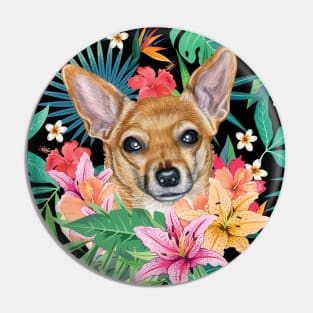 Tropical Short Haired Red White Chihuahua 1 Pin