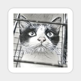 SELFIE CAT BLACK AND WHITE Magnet