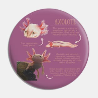 Animal Facts - Axolotl Pin