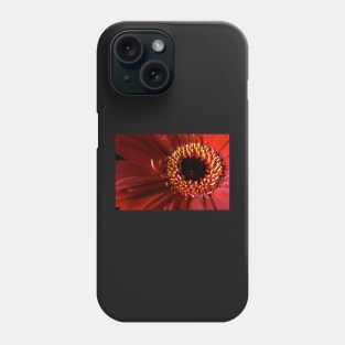 Red Gerbera flower macro Phone Case