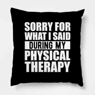 Physical Therapist - Sorry for what I said during my physical therapy w Pillow