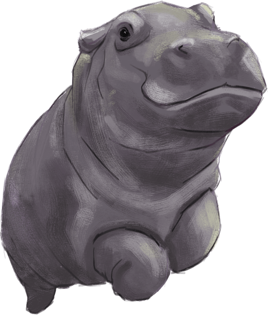 Cute Swimming Baby Pygmy Hippo Kids T-Shirt by Stilo29