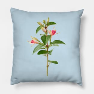 Fuchsia 'Princess Charlotte' Pillow