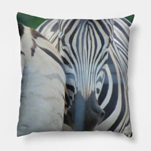 Zebra Pillow