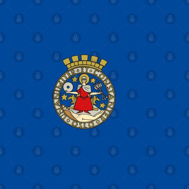 Flag of Oslo, Norway by brigadeiro