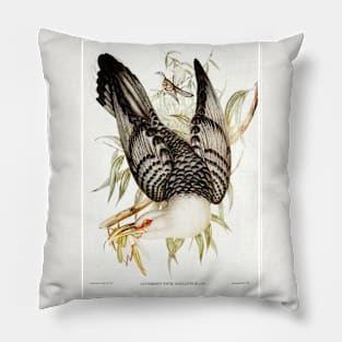 Channel Bill Cuckoo Pillow