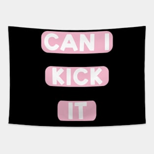 Can I kick it ( Cassloww) #05 Tapestry