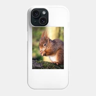 Red Squirrel Phone Case