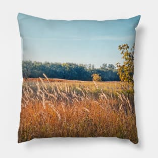 Autumn picturesque landscape Pillow