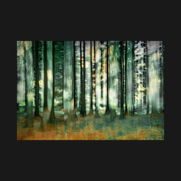 Abstract Forest Scene by TonyNorth