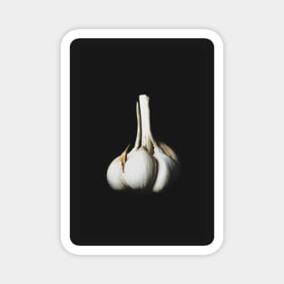 Garlic Magnet