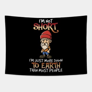 I'm Not Short I'm Just More Down To Earth Than Most People Tapestry