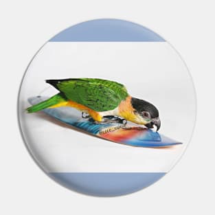 Surfer Birb Pin