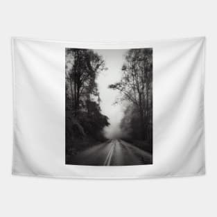 Foggy Mountain Drive Tapestry