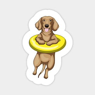 Dachshund Swimming Swim ring Magnet