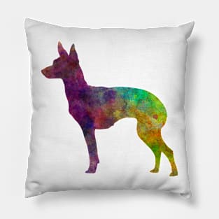 English Toy Terrier in watercolor Pillow