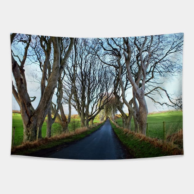 The Dark Hedges, Northern Ireland Tapestry by Ludwig Wagner