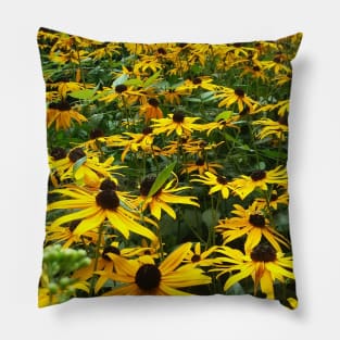 Black eyed Susans Pillow