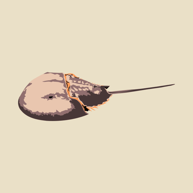 Horseshoe Crab by stargatedalek