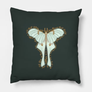 Matthew 6:20 - Store up treasures in heaven, bible verse moth illustration Pillow