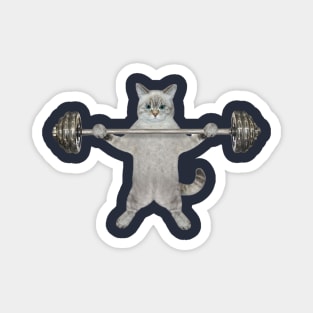 cat in a gym Magnet