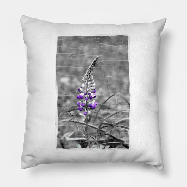 Lupine Pillow by cinema4design