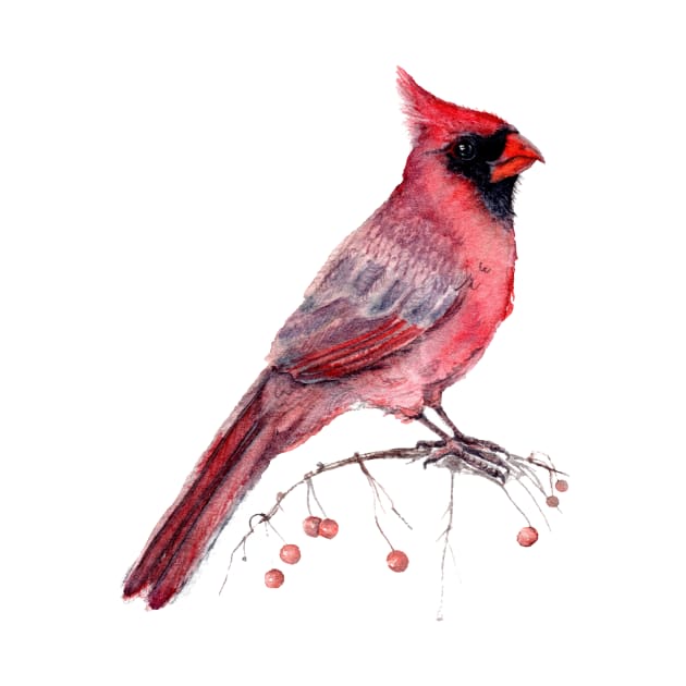 Red Cardinal by Goosi