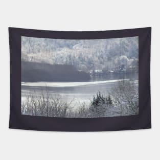 Columbia river and snow 2 Tapestry