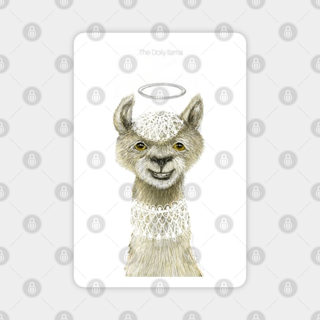 The Doily Llama Magnet by cheriedirksen