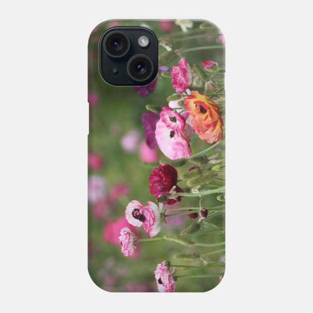 Jelly Bean Colored Ranunculus Phone Case by ButterflyInTheAttic