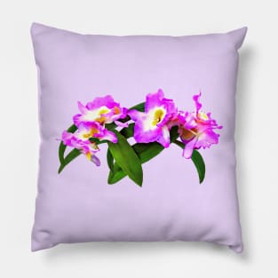 Dendrobium Angel Moon 'Love Letter' Pillow