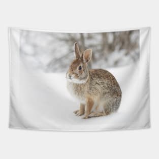 Eastern Cottontail bunny Tapestry