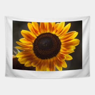 Sunflower Glow Tapestry