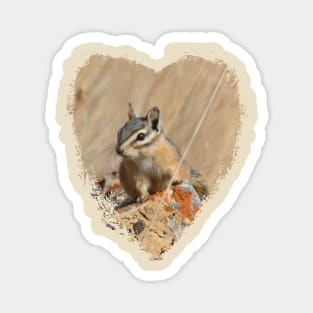 Chipmunk on the Rocks Magnet