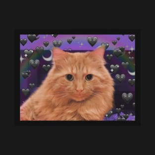 Orange Fluffy Kitty T-Shirt