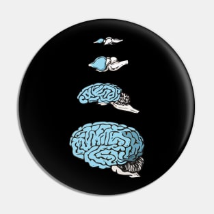 Neocortex Evolution Pin