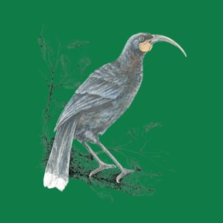 Huia, Native bird of New Zealand T-Shirt