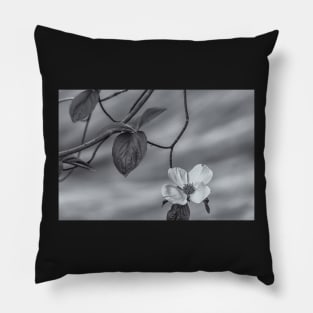 blooming dogwood bw Pillow