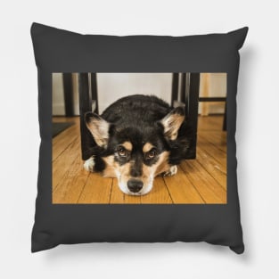 Corgi Kitchen Pillow