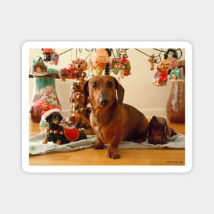 Christmas Dachshund (Version 1) Magnet