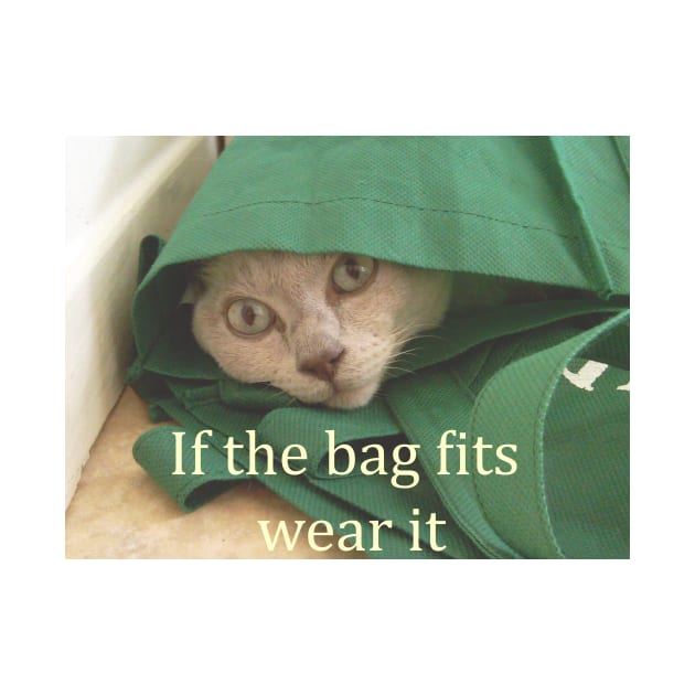 Funny cat picture, if the bag fits wear it by Fantasyart123