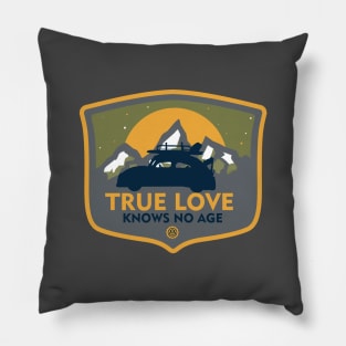 True Love Pillow