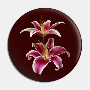 Lilies - Two Stargazer Lilies Pin