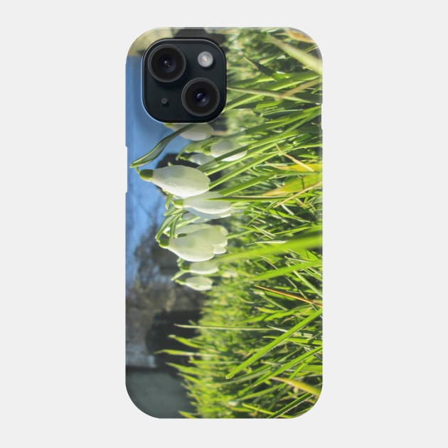 Churchyard Snowdrops in the Sunshine Phone Case by Natural Distractions