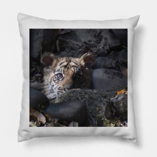 Sumatran Tiger cub Pillow