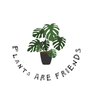 Plants are Friends Monstera Plant Illustration T-Shirt