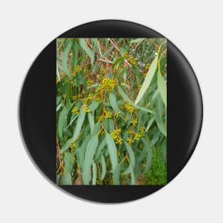 River Red Gum Pin