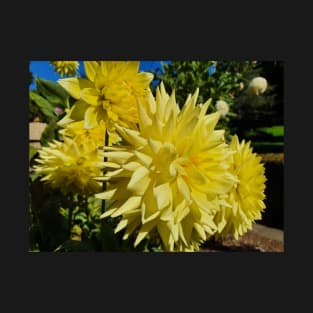 Yellow Dahlias T-Shirt