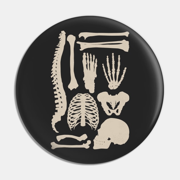 Osteology Pin by dorothytimmer